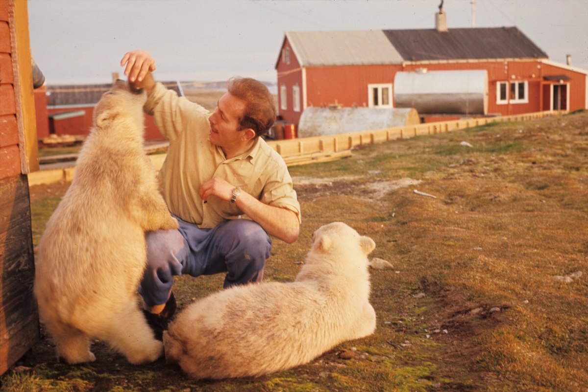 Astor Ernstsen med to bamser. Originalen returnert til giveren.