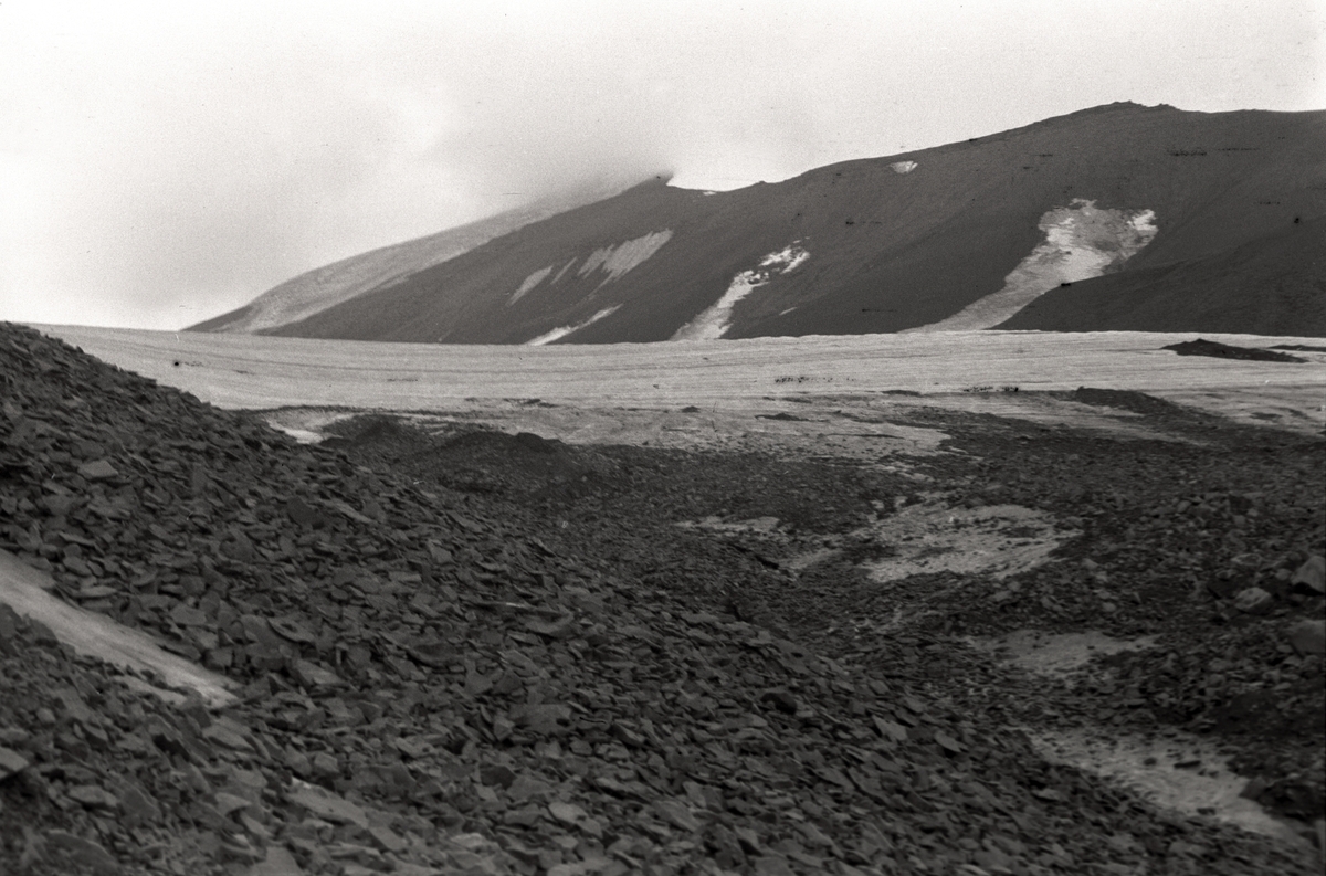 Bildet fra en botanisk tur til Svalbard. Turen foregikk Sven-Erik Sandermann Olsen sammen med Carl-Erik Reenberg, begge farmaceuter med passion for botanik.