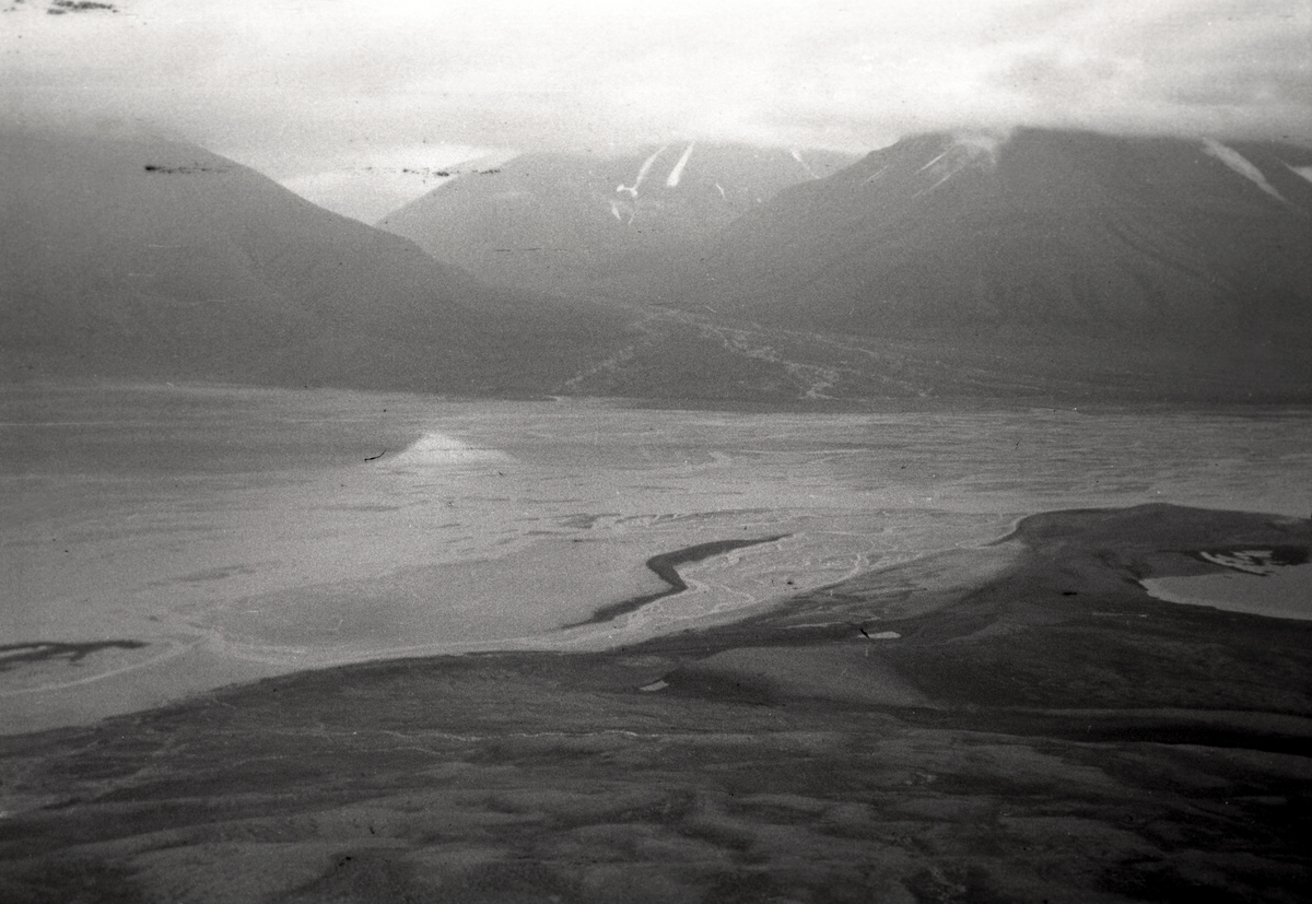 Bildet fra en botanisk tur til Svalbard. Turen foregikk Sven-Erik Sandermann Olsen sammen med Carl-Erik Reenberg, begge farmaceuter med passion for botanik.