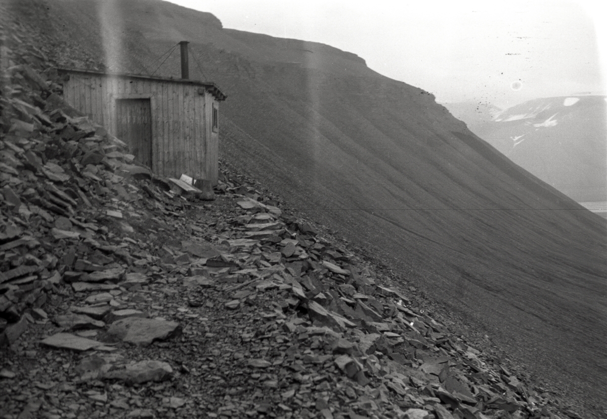 Bildet fra en botanisk tur til Svalbard. Turen foregikk Sven-Erik Sandermann Olsen sammen med Carl-Erik Reenberg, begge farmaceuter med passion for botanik.