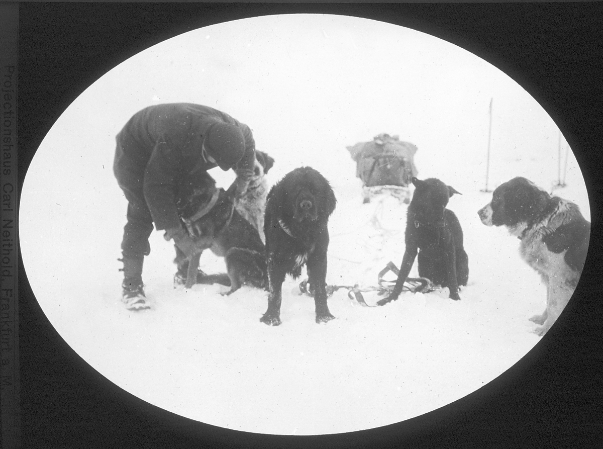 Bildet fra Theodor Lerners ekspedisjon. Han var en tysk journalist og polarfarer. Foretok mange reiser til Svalbard og Bjørnøya i årene fra 1896. Overvintret på Bohemanneset i Isfjorden sammen med Hjalmar Johansen (1907–08). Lerner er særlig kjent for sine anneksjoner av land på Bjørnøya 1898–99. Kjent under tilnavnet Tåkefyrsten. Bildet kommer fra Historisches Museum i Frankfurt am Mein.