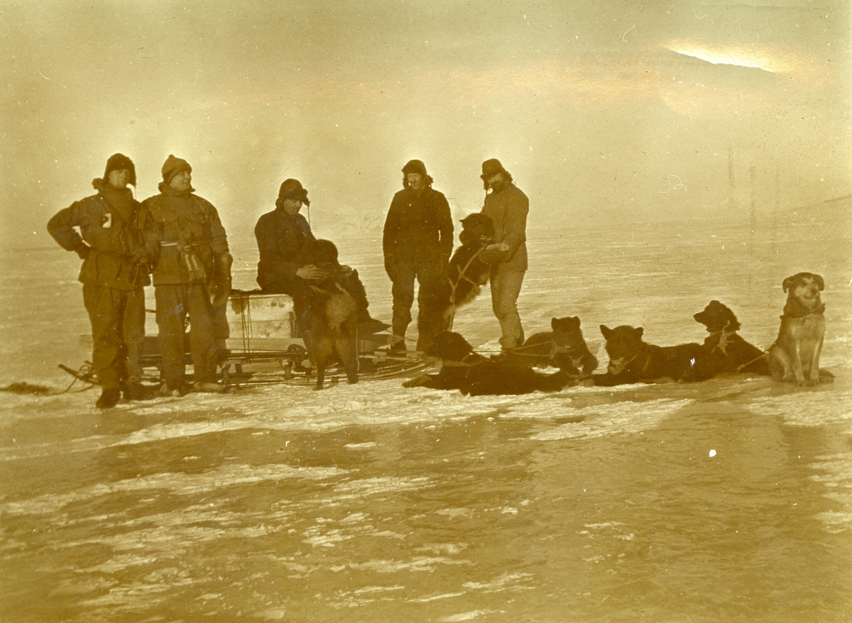 Tekst på baksiden av bildet: Hundekjøring. Bilder fra samlingen til Jens K. Bay, som var sjef for en overvintringsekspedisjon 1914/15. Bay var bror til Karl Bay.