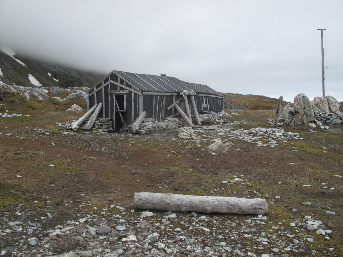 Hyttevika i Hornsund