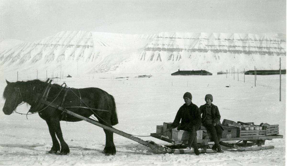 Bilder fra Sveagruva 1924-1925. Bildene er fra en samling etter Erik Andersson(04.11.1901-15.12.1994) fra Spånga i Stockholm.Hest og slede Tihører aksesjon SVB 2021-07