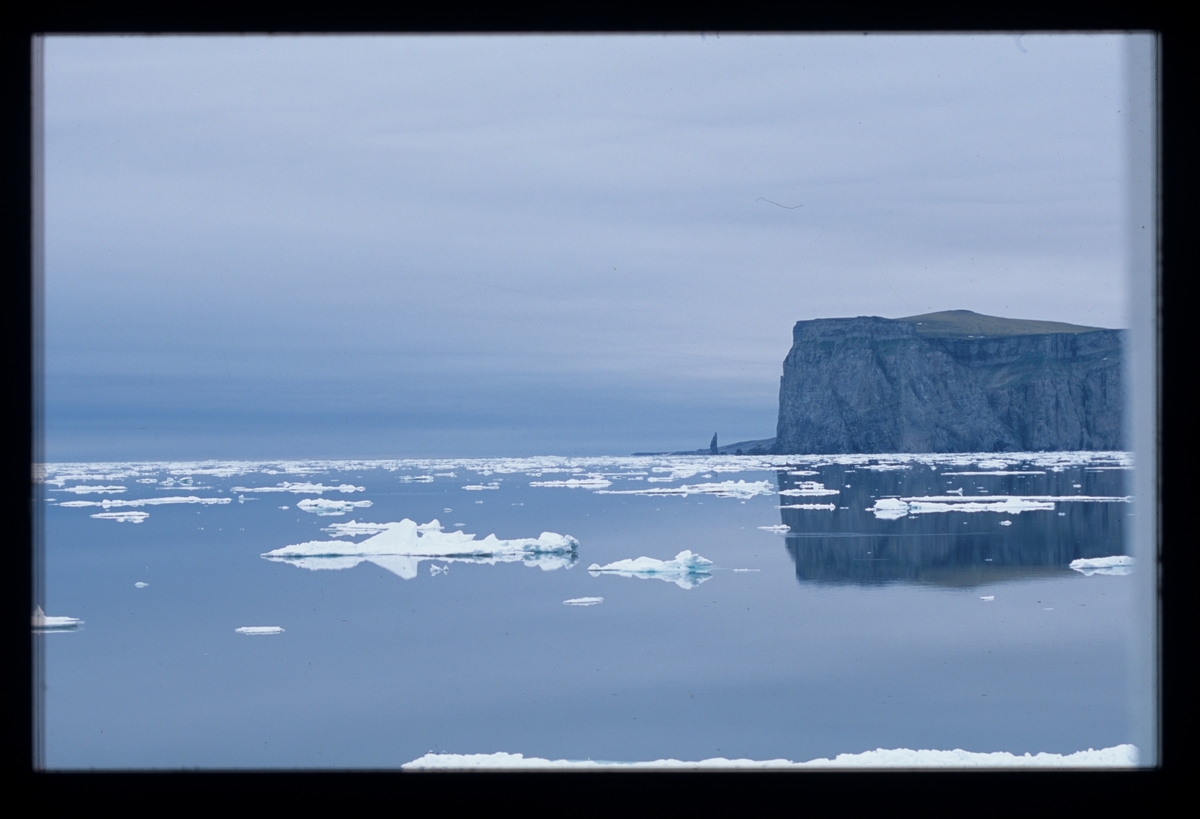 Bjørnøya