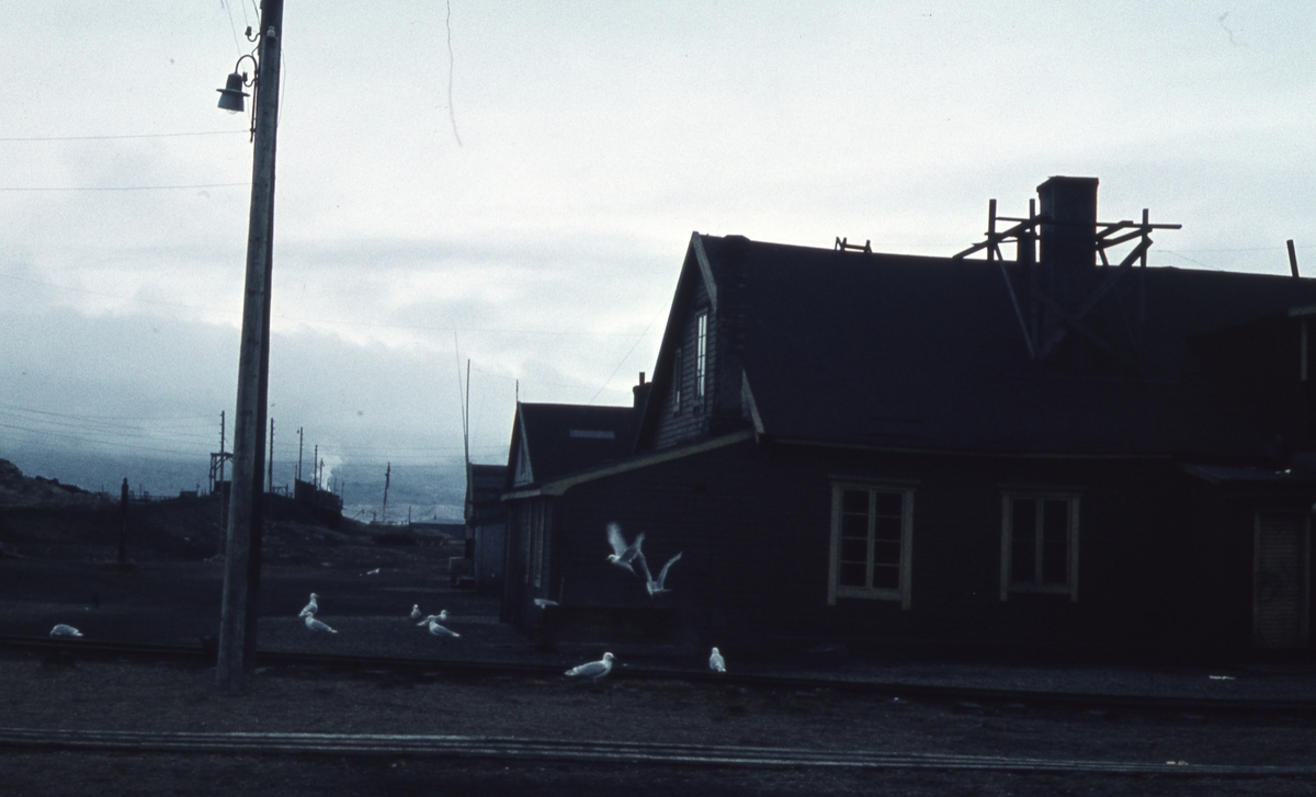 Bebyggelse i Ny-Ålesund.