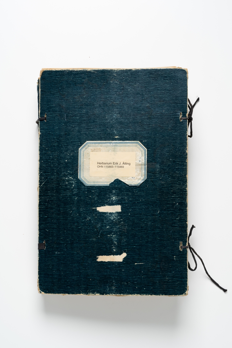 Herbarium med insamlade växter innehållande 105 växtark av papper. Varje blad har en etikett för uppgifter om växtens namn, klass, ordning, familj, växtställe, datum, ort och namn på den som plockat växten. Herbariemappen består av en framsida och en baksida av blå-grön hårdpapp. Mappen är försedd med två par svarta knytband av bomull. På framsidans insida är handskrivet: "Ingeborg Johansson Hvetlanda".

Regionherbariet i Oskarshamn har sekundärt fäst en etikett på mappens framsida på en äldre etikett, liksom en ny etikett på varje växtark.