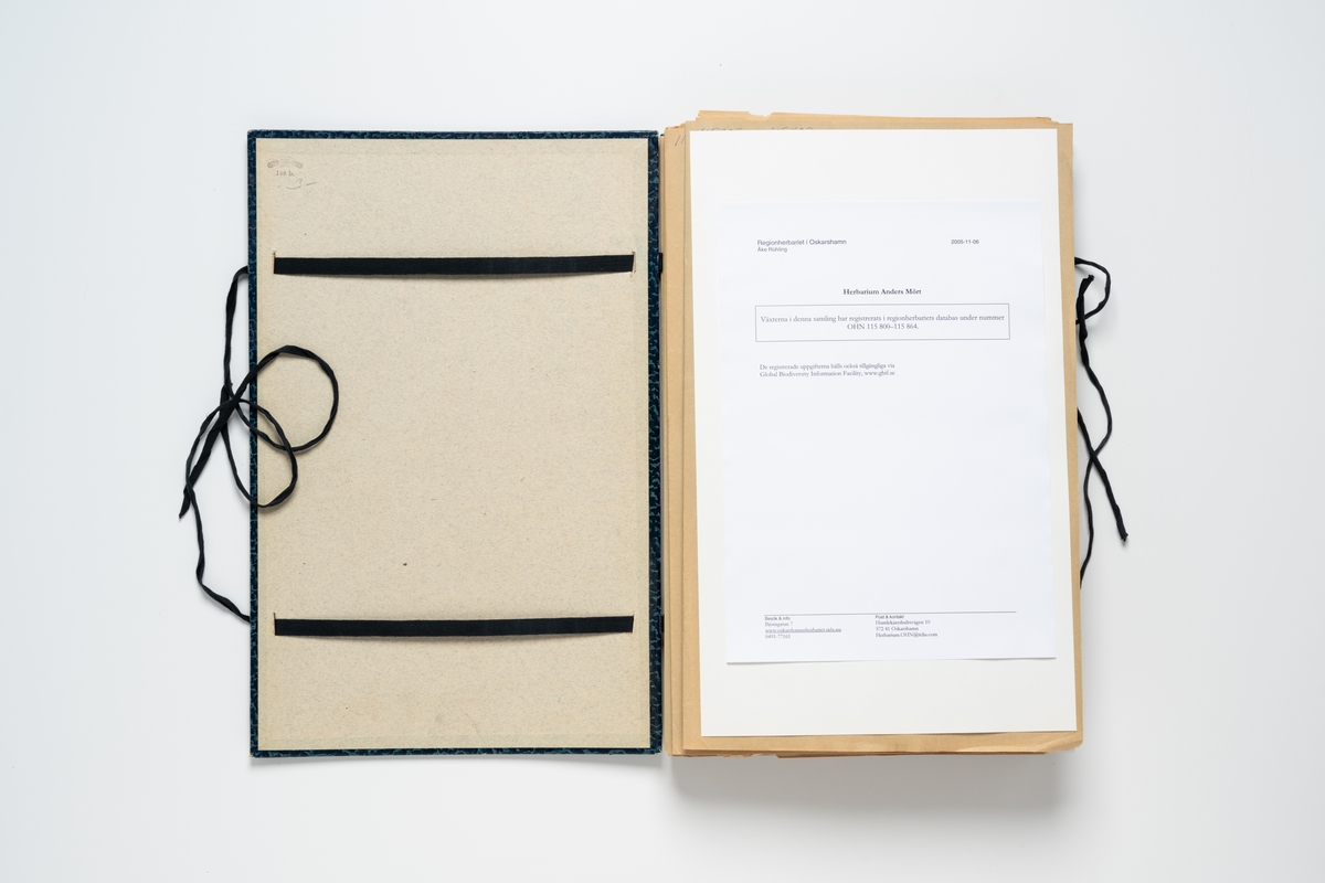 Herbarium med insamlade växter innehållande 65 växtark av papper. Varje blad har en etikett för uppgifter om växtens namn, klass, ordning, familj, växtställe, datum, ort och namn på den som plockat växten. Herbariemappen består av en framsida och en baksida av blåmarmorerad hårdpapp. Mappen är försedd med två par svarta knytband av bomull. På framsidan en etikett med text: "Herbarium". 

Regionherbariet i Oskarshamn har sekundärt fäst en etikett på mappens framsida, liksom en ny etikett på varje växtark.