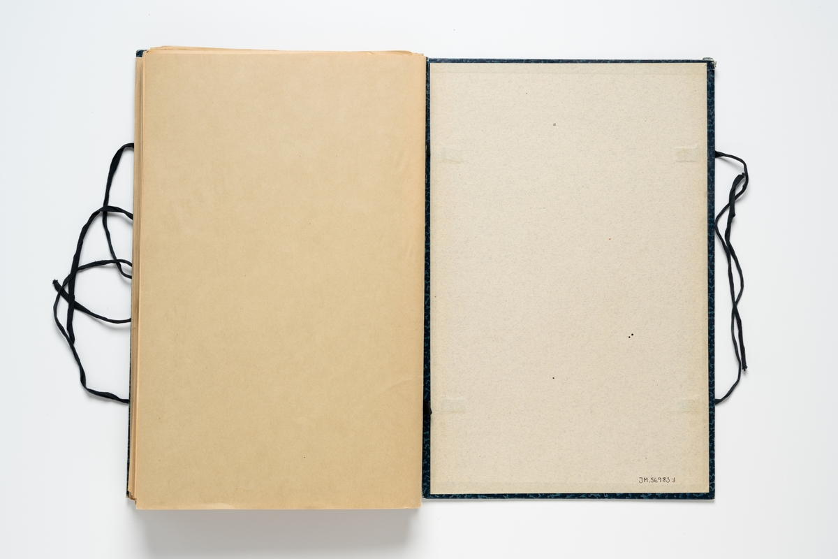 Herbarium med insamlade växter innehållande 65 växtark av papper. Varje blad har en etikett för uppgifter om växtens namn, klass, ordning, familj, växtställe, datum, ort och namn på den som plockat växten. Herbariemappen består av en framsida och en baksida av blåmarmorerad hårdpapp. Mappen är försedd med två par svarta knytband av bomull. På framsidan en etikett med text: "Herbarium". 

Regionherbariet i Oskarshamn har sekundärt fäst en etikett på mappens framsida, liksom en ny etikett på varje växtark.