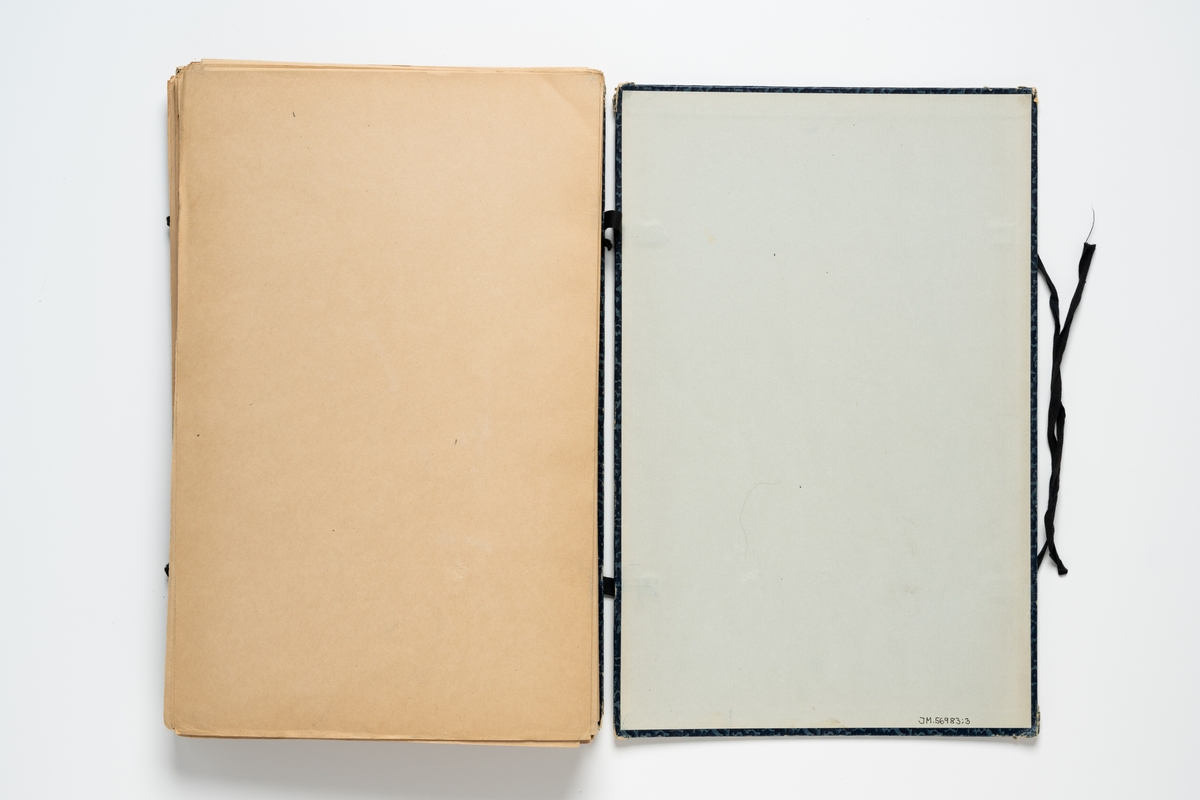 Herbarium med insamlade växter innehållande 59 växtark av papper. Varje blad har en etikett för uppgifter om växtens latinska namn, svenska namn, familj, växtplatsens natur, fyndort, datum, och namn på den som plockat växten. Herbariemappen består av en framsida och en baksida av blåmarmorerad hårdpapp. Mappen är försedd med två par svarta knytband av bomull. På framsidan en etikett med handskriven text: "Jan Graab Jönköping tel. 2538". På framsidans insida tryckt text: "MERZOG Melins Öbergs LITOGRAFEN E S S E L T E N:r 4101".

Regionherbariet i Oskarshamn har sekundärt fäst en etikett på mappens framsida, liksom en ny etikett på varje växtark.