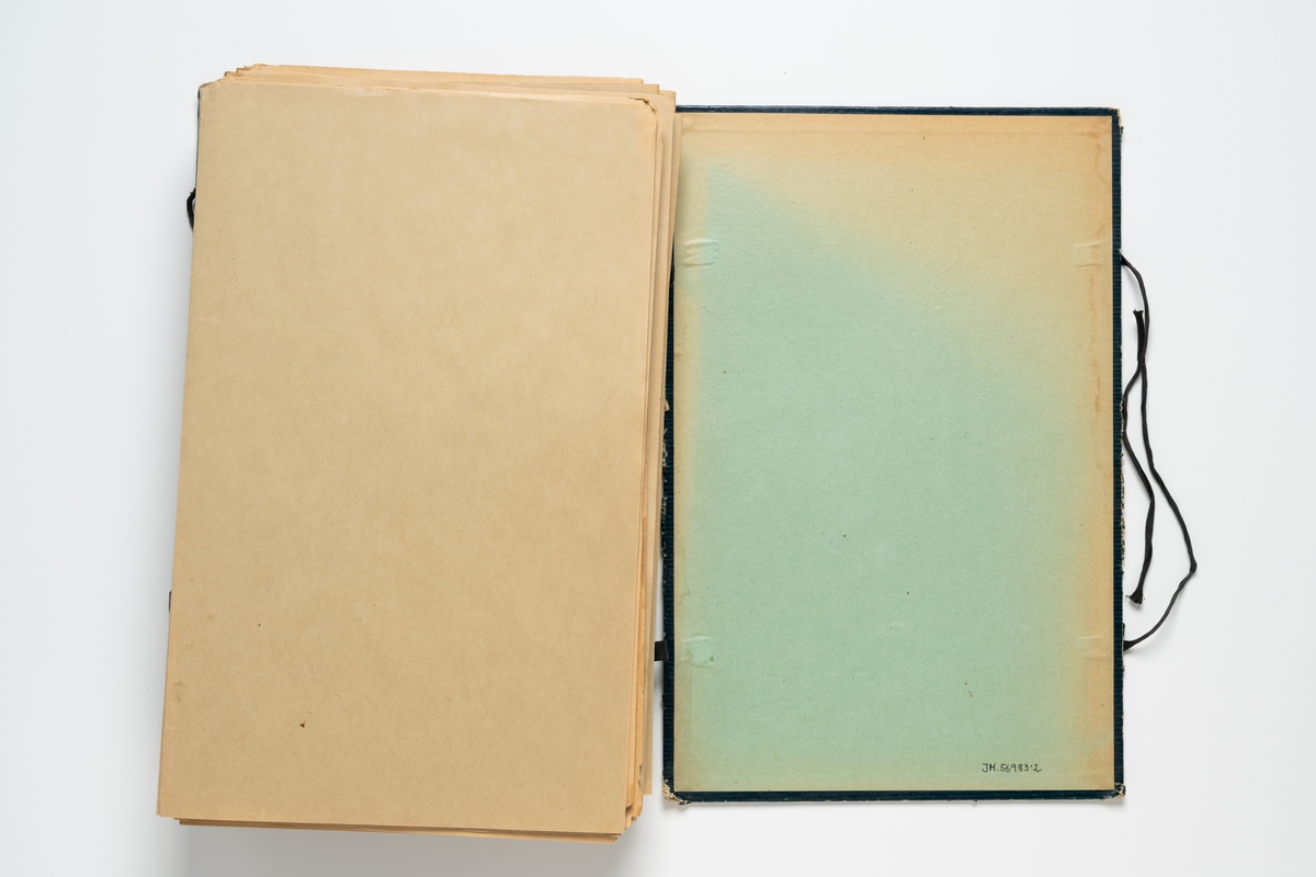 Herbarium med insamlade växter innehållande 105 växtark av papper. Varje blad har en etikett för uppgifter om växtens namn, klass, ordning, familj, växtställe, datum, ort och namn på den som plockat växten. Herbariemappen består av en framsida och en baksida av blå-grön hårdpapp. Mappen är försedd med två par svarta knytband av bomull. På framsidans insida är handskrivet: "Ingeborg Johansson Hvetlanda".

Regionherbariet i Oskarshamn har sekundärt fäst en etikett på mappens framsida på en äldre etikett, liksom en ny etikett på varje växtark.