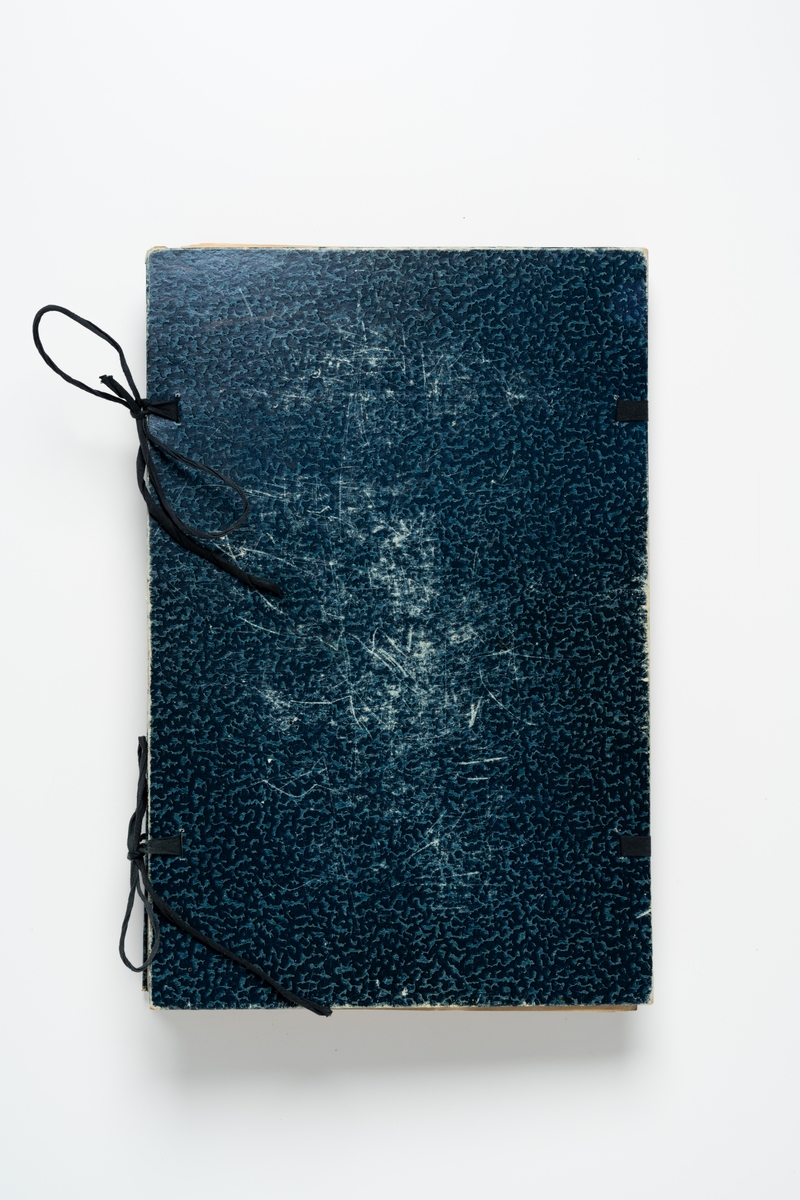 Herbarium med insamlade växter innehållande 65 växtark av papper. Varje blad har en etikett för uppgifter om växtens namn, klass, ordning, familj, växtställe, datum, ort och namn på den som plockat växten. Herbariemappen består av en framsida och en baksida av blåmarmorerad hårdpapp. Mappen är försedd med två par svarta knytband av bomull. På framsidan en etikett med text: "Herbarium". 

Regionherbariet i Oskarshamn har sekundärt fäst en etikett på mappens framsida, liksom en ny etikett på varje växtark.