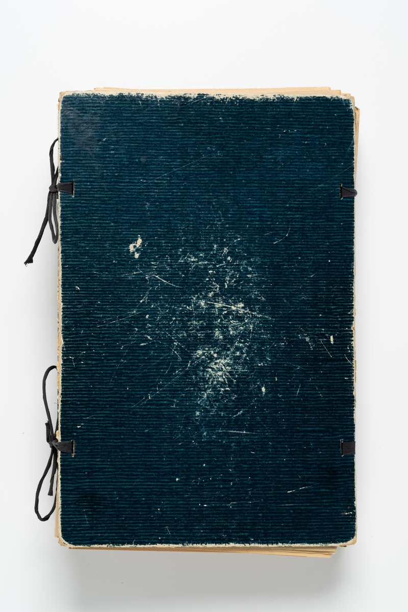 Herbarium med insamlade växter innehållande 105 växtark av papper. Varje blad har en etikett för uppgifter om växtens namn, klass, ordning, familj, växtställe, datum, ort och namn på den som plockat växten. Herbariemappen består av en framsida och en baksida av blå-grön hårdpapp. Mappen är försedd med två par svarta knytband av bomull. På framsidans insida är handskrivet: "Ingeborg Johansson Hvetlanda".

Regionherbariet i Oskarshamn har sekundärt fäst en etikett på mappens framsida på en äldre etikett, liksom en ny etikett på varje växtark.