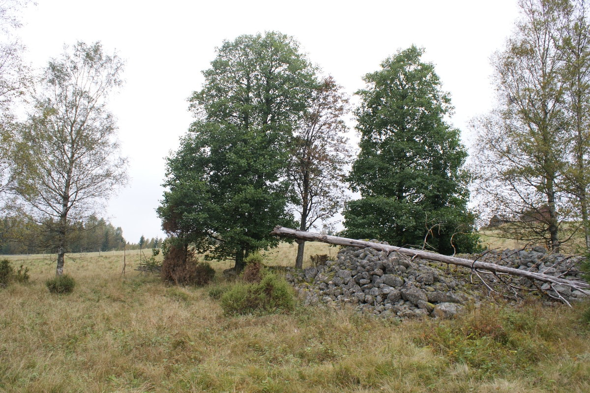 Fastighet