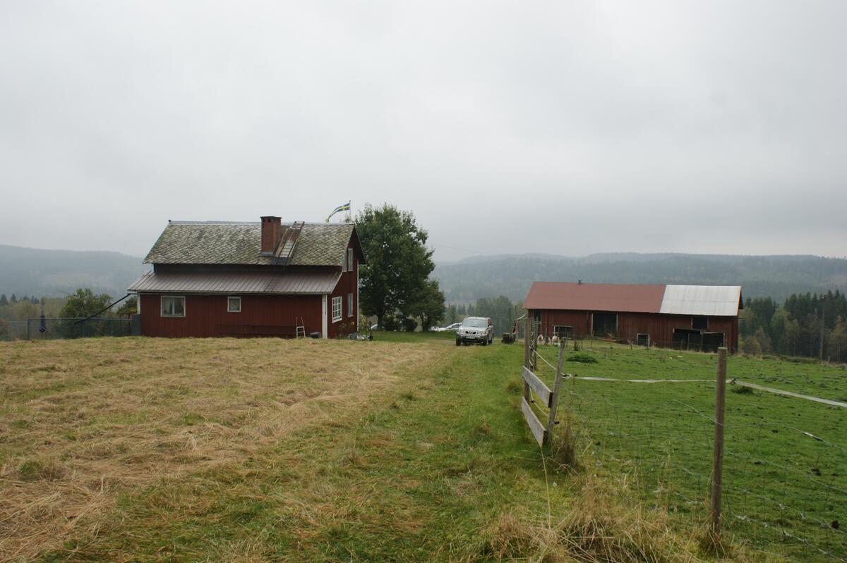 Fastighet