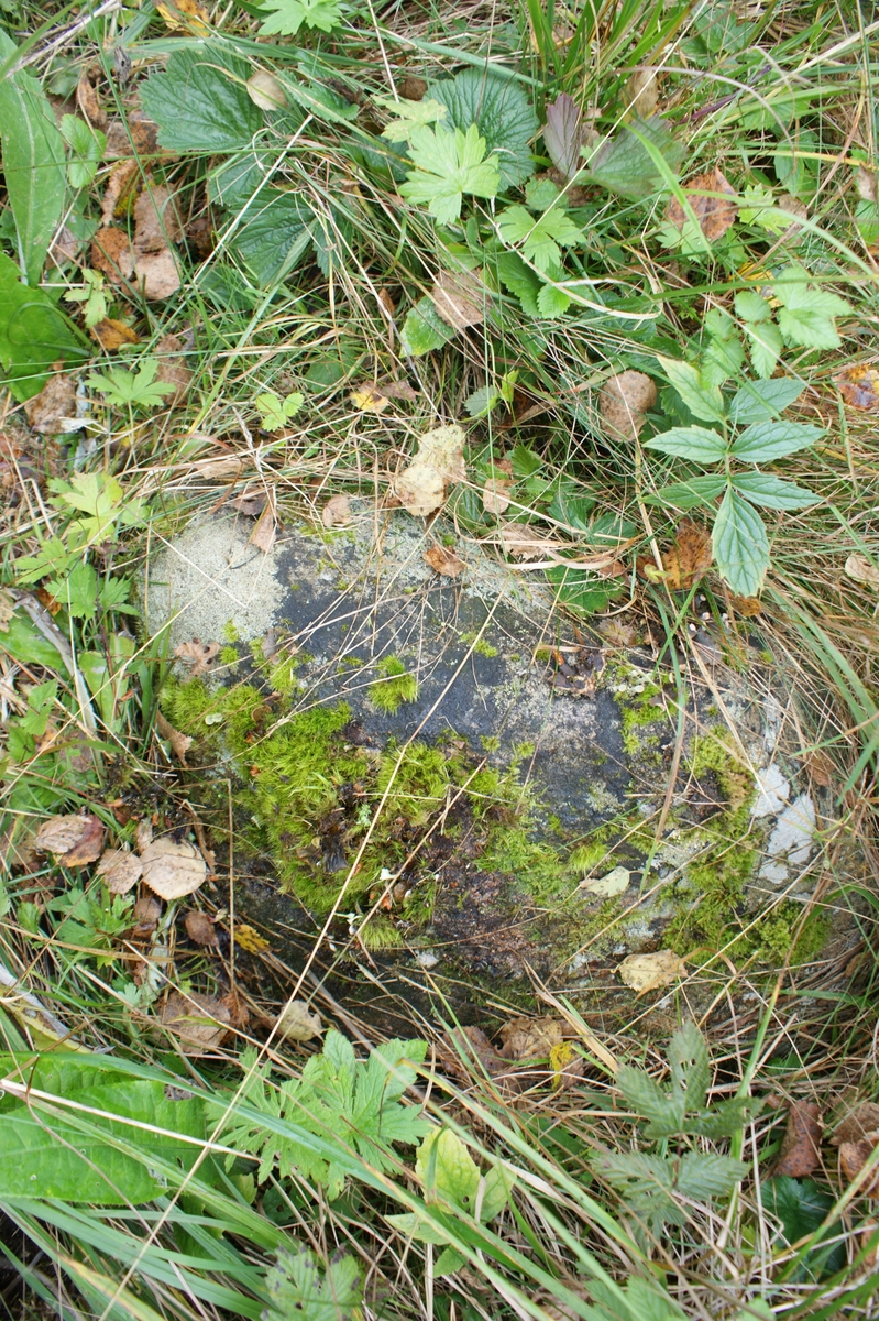 Fastighet
