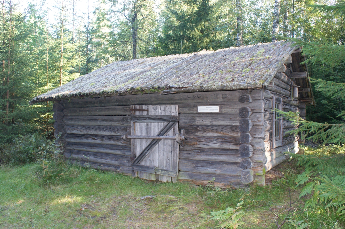 Fastighet