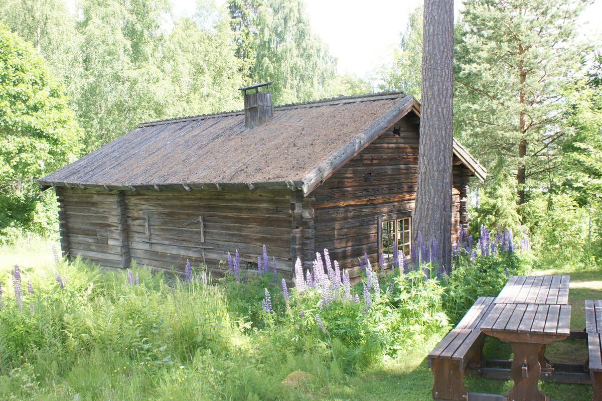 Fastighet