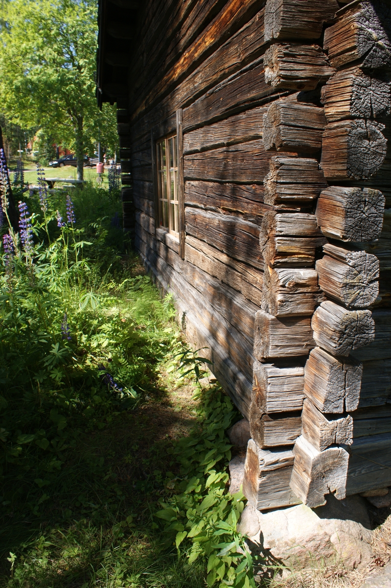 Fastighet