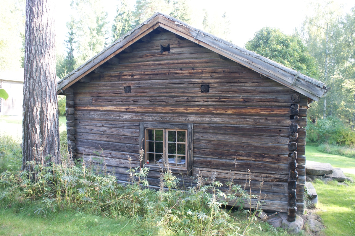 Fastighet