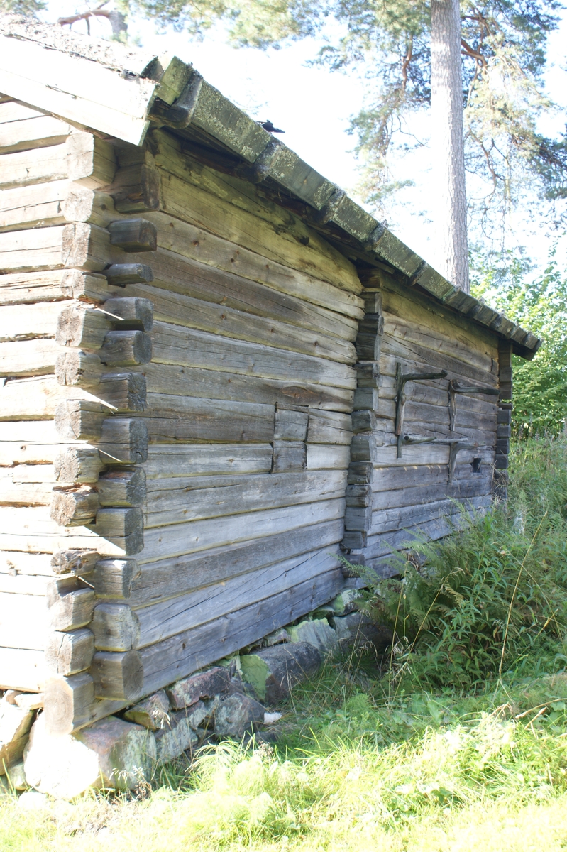 Fastighet