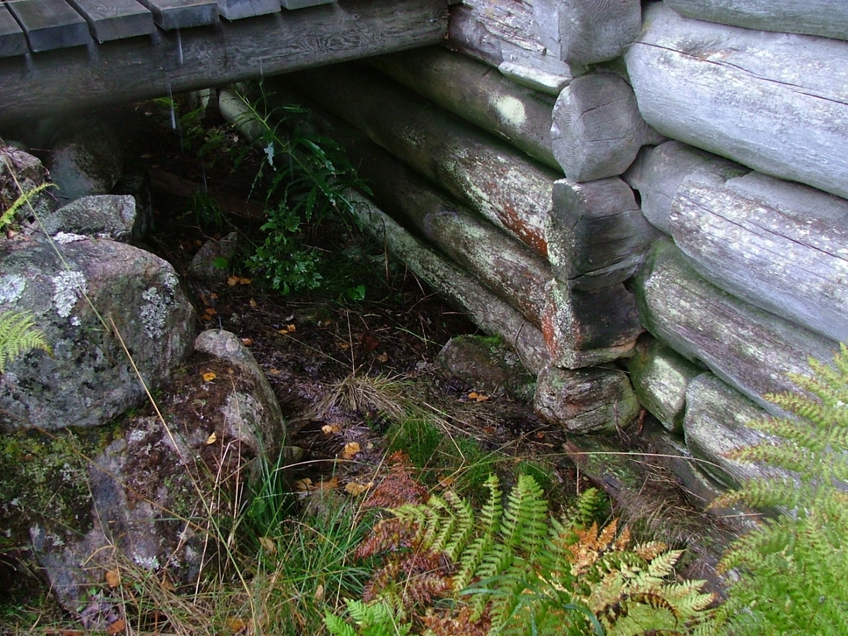 Fastighet