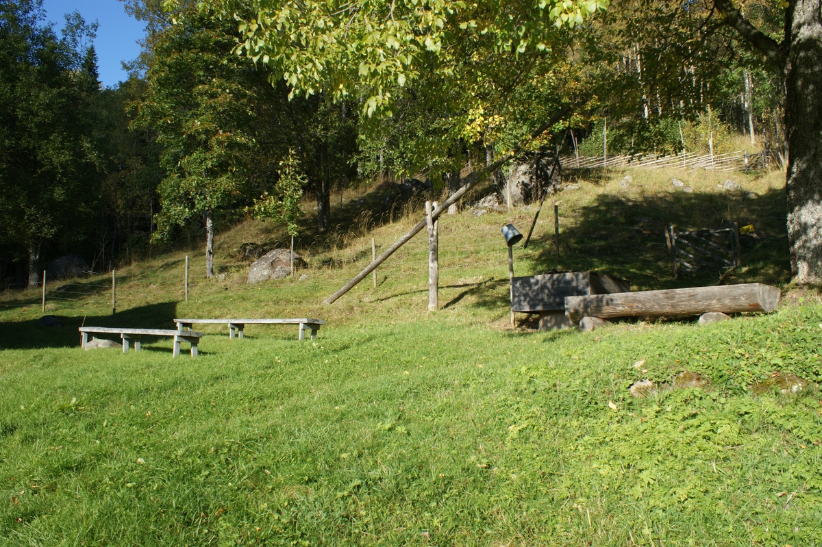 Fastighet