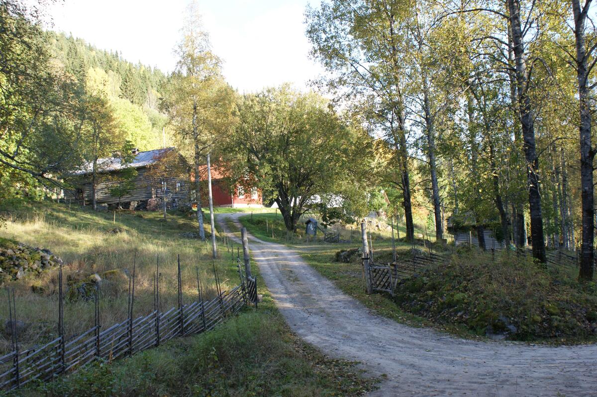 Fastighet