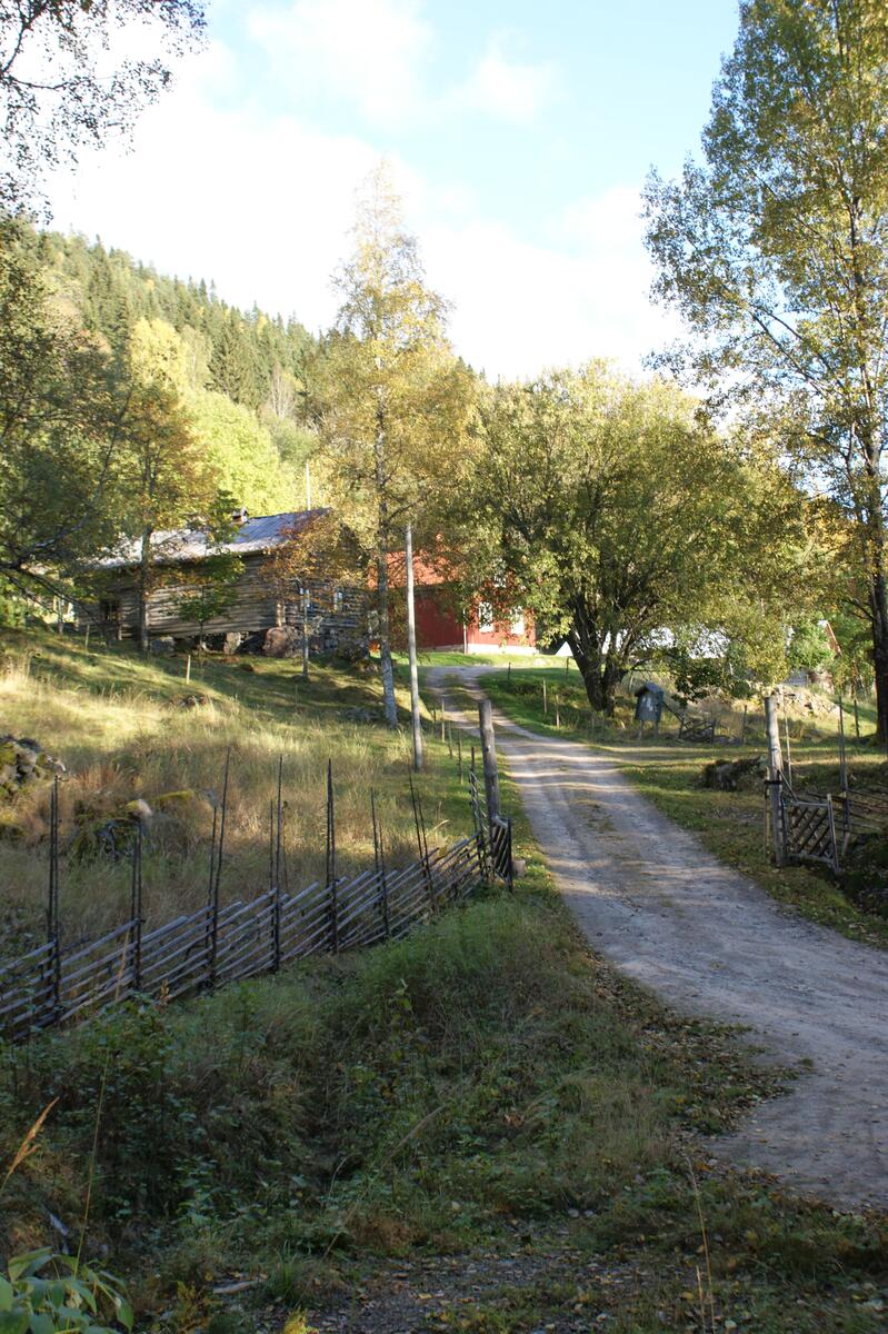Fastighet