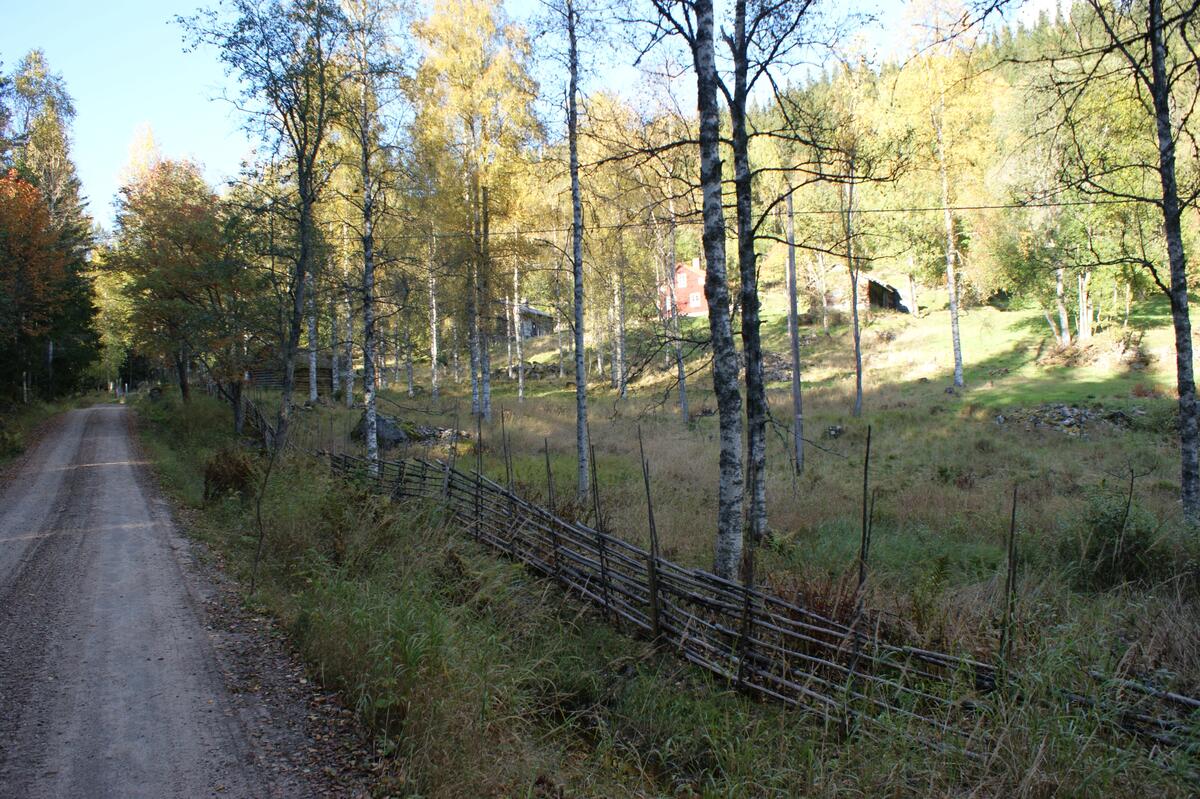 Fastighet