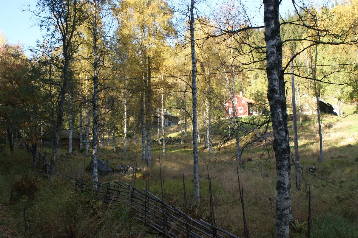 Fastighet