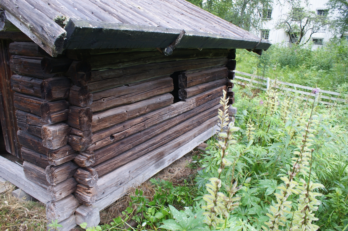 Kokhus