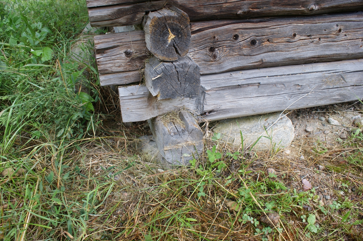 Kokhus