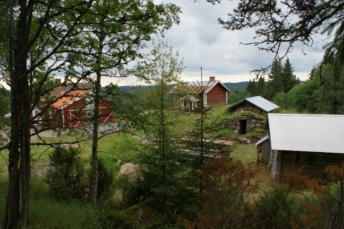 Fastighet
