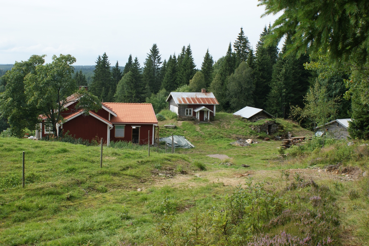 Fastighet