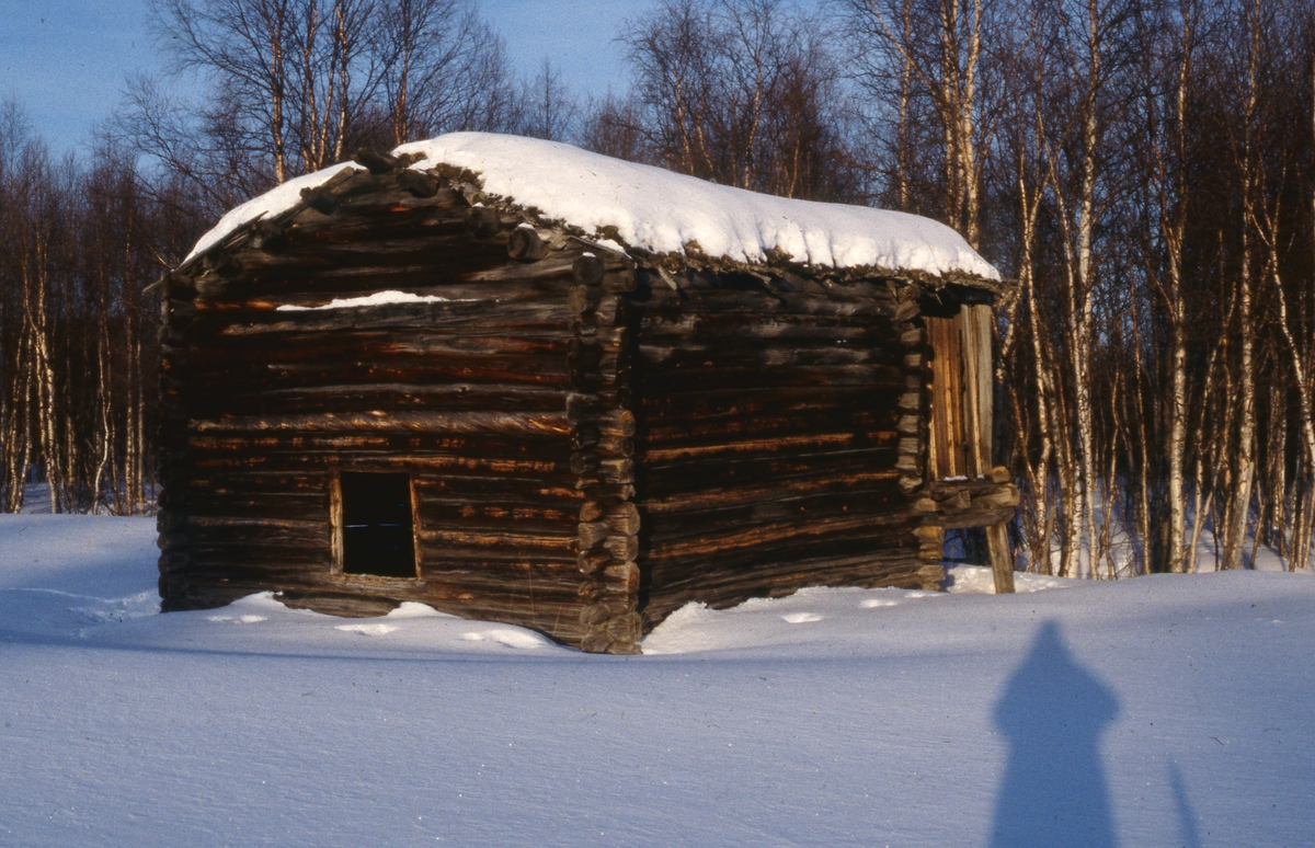 Utløe1981