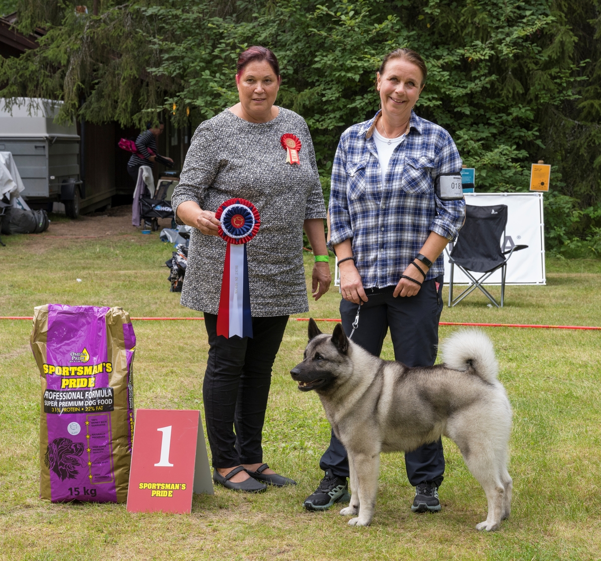 Hundeutstilling. Best in show, vinneren av nordens største jakthundutstilling, Elverumsutstillingen 2023 ble Svartkamplia's Bamse av rasen norsk elghund grå, vist av Mette Lien fra Vingrom.

Elverumsutstillingen blir årlig arrangert av Norges Jeger- og fiskerforbund under De nordiske jakt- og fiskedagene på Norsk skogmuseum,  Elverum, Hedmark, Innlandet.