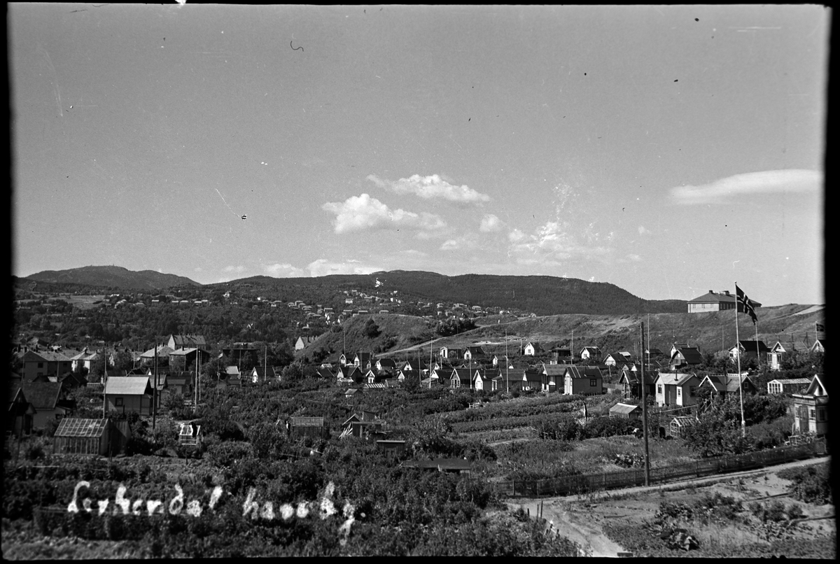 Lerkendal hagekoloni