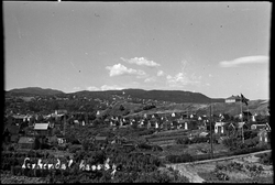 Lerkendal hagekoloni