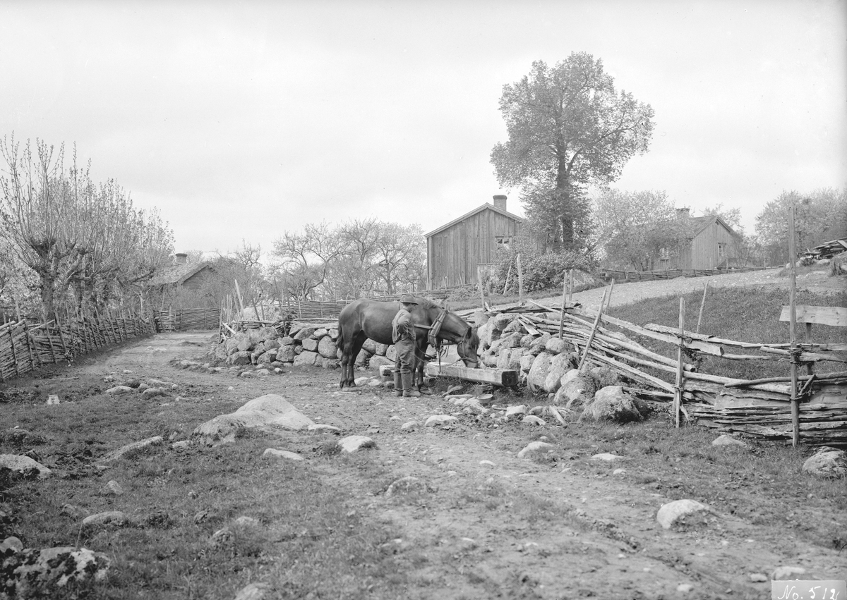 En stunds vila när hästen vattnas på bygatan genom Hamra by i Svinhult socken. Året är 1926. Dottern Sonja har identifierat mannen som sin far Per Johan Algot Johansson (1878-1964).