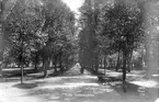 Gäfle Stadsträdgården