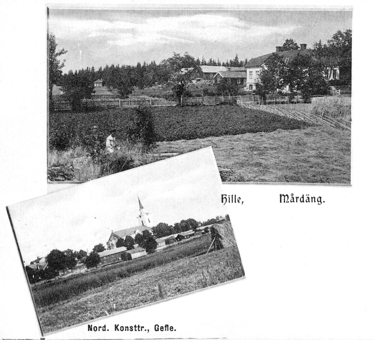 Hille, Mårdäng