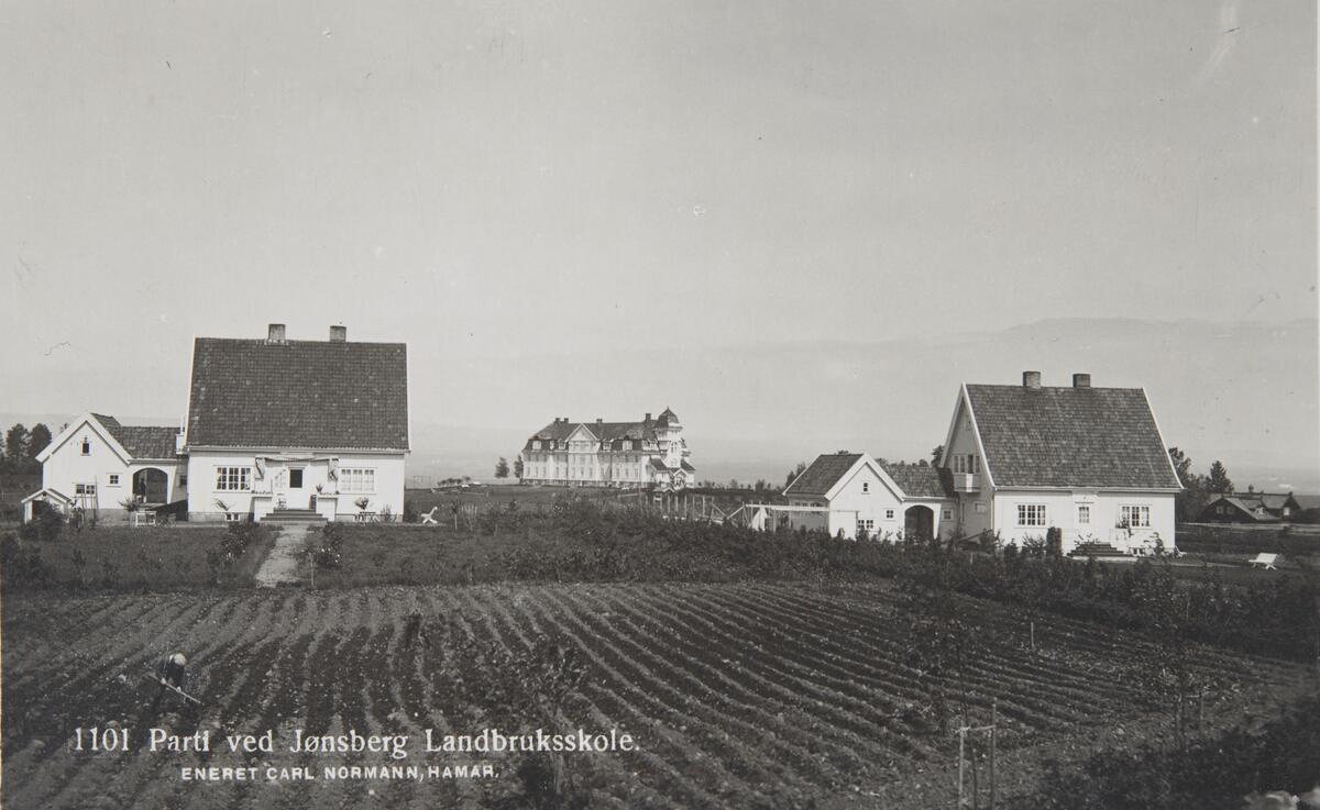 Postkort, Stange, Romedal, Jønsberg Landbruksskole, villaer for ansatte, arbeiderboliger,
