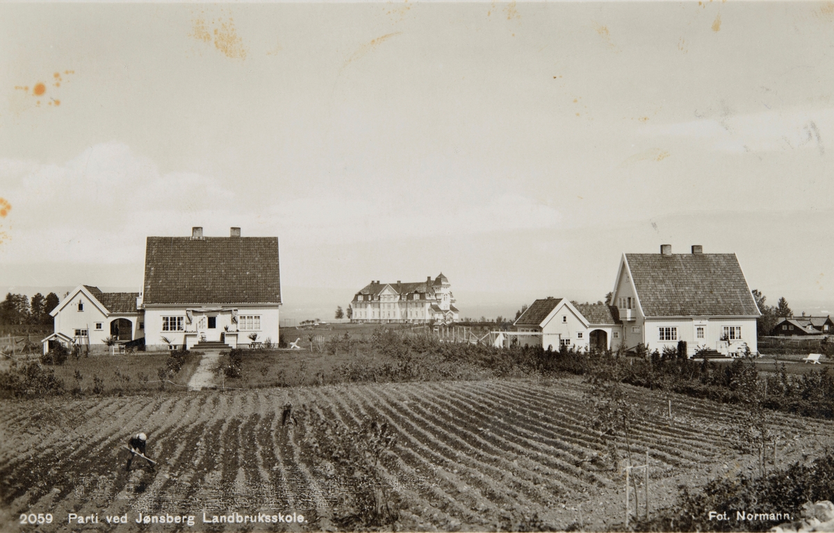 Postkort, Stange, Romedal, Jønsberg Landbruksskole, villaer for ansatte, arbeiderboliger,