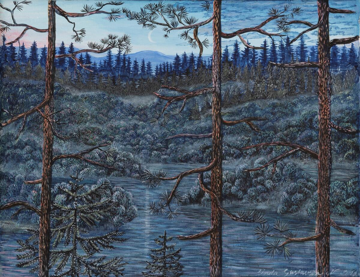 Tall Landskap Måne Skog