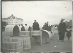 Höstmarknad på Vaksala torg, Uppsala 1912