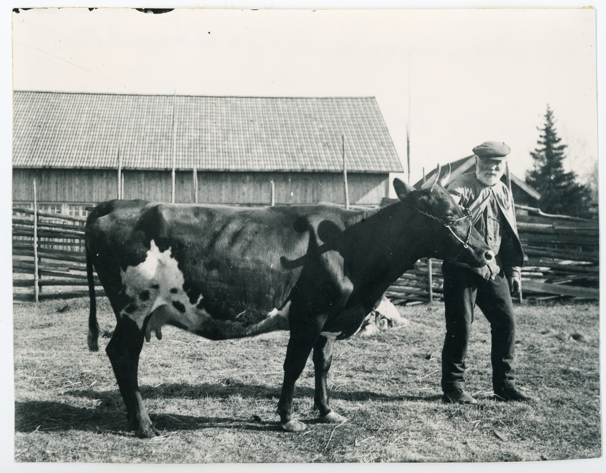 Pensionär Rosenberg på Järlåsa-Ålands ålderdomshem, Uppland 1925