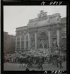 1717/A Rom. Fontana di Trevi, Trevifontänen.