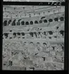 1717/A Rom. Colosseum.