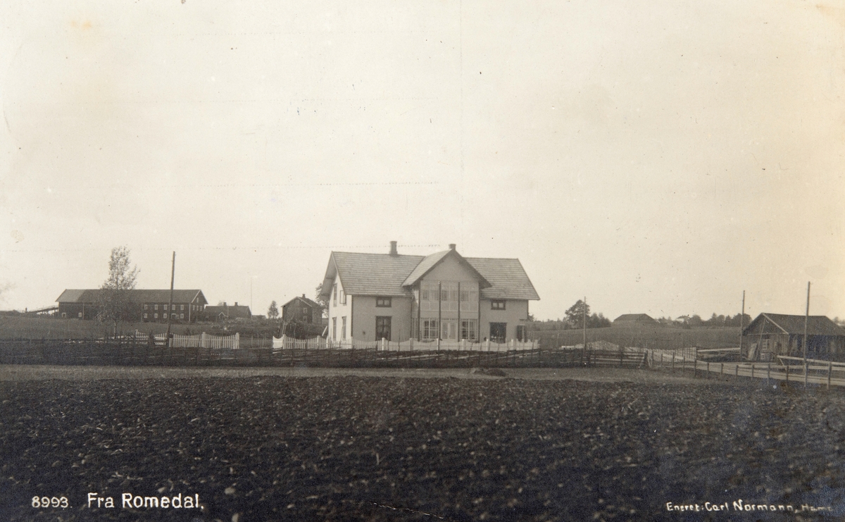 Postkort, Stange, parti fra Romedal, Nygård, Bernt Stensrud landhandel (1913-24) Ing. Frengs landhandel (1924-28) Syver Flagtsads landhandel (1928-36), butikk,